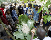 Cargill Continues to Support Cocoa Sector in Cote d’Ivoire
