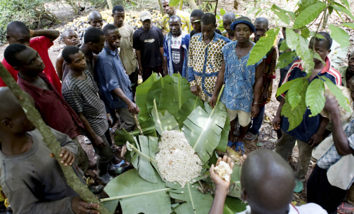 Cargill Continues to Support Cocoa Sector in Cote d’Ivoire