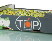 Total Produce Acquires 50% of Leading Dutch Fresh Produce Company