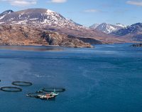 The Scottish Salmon Company Reveals £40 Million Expansion Plans