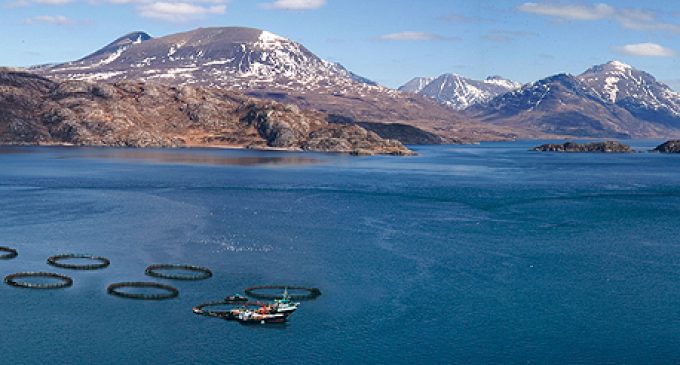 A UK First For Scottish Salmon Company