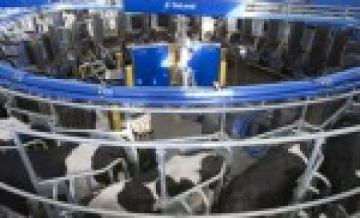World’s first robotic milking rotary introduced in Australia