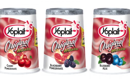 Glanbia to Close Yoplait Yoghurt Facility