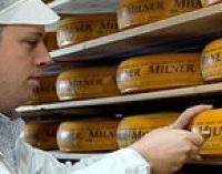FrieslandCampina Broadens Cheese Portfolio With Acquisition of Zijerveld