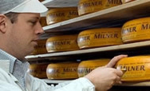 FrieslandCampina Broadens Cheese Portfolio With Acquisition of Zijerveld