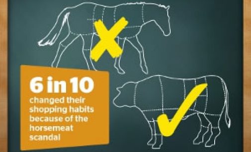 Horsemeat Scandal Dents Trust in Food Industry