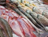 Seafood Consumption Reduces Risk of Death From Heart Disease