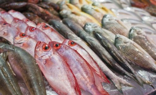 Seafood Consumption Reduces Risk of Death From Heart Disease