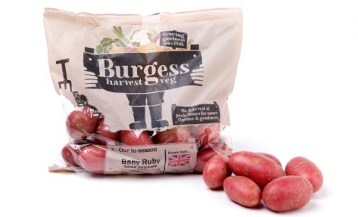 Produce World Launches Consumer-facing Brand