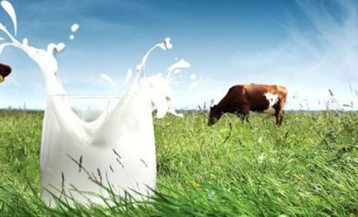 Arla Foods Sells UK Dairy Plant