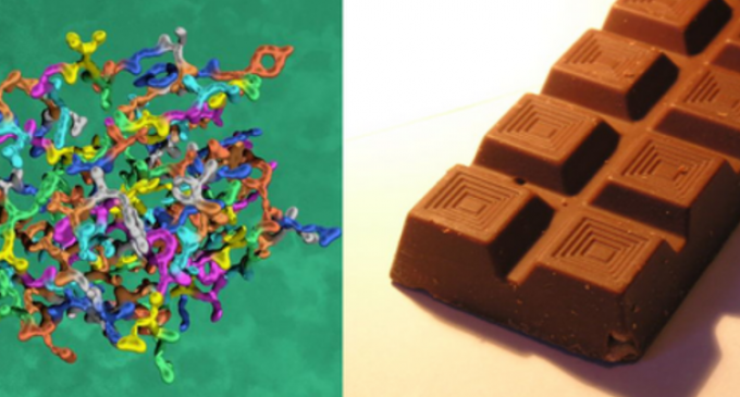 Protein chocolate: Sources, market and trends