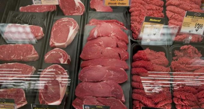 Better intelligence needed to combat food fraud, says UK expert