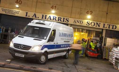 Used Mercedes-Benz Sprinters are the pick of the crop for IA Harris