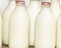Tetra Pak chief: ambient flavoured milk sales soaring
