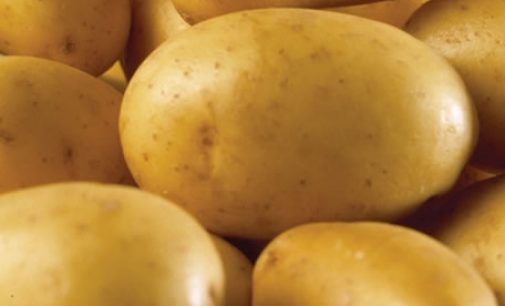 Industry cuts back on British potatoes as prices soar