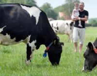 FrieslandCampina Acquires Stake in New Zealand Milk Processor