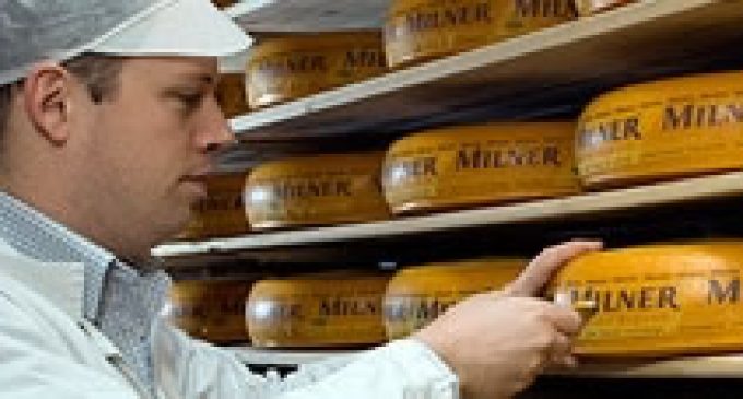 FrieslandCampina Consolidates Cheese Packaging Plants