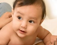 Study Finds Commercial Baby Foods Don’t Meet Infants’ Dietary Weaning Needs
