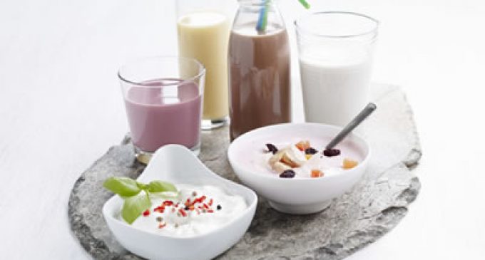 New Hi-Pro Improvers Provide Protein Boost in Dairy Products