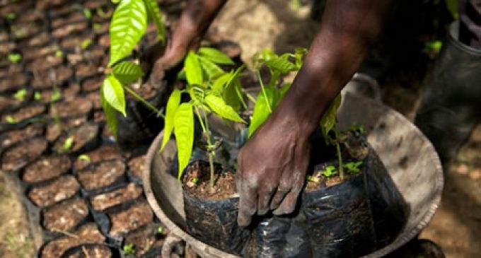 Mondelez International Launches Cocoa Life Sustainability Program in Indonesia