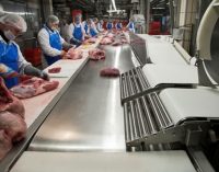 Hygienic Processing on Stainless Steel Conveyors