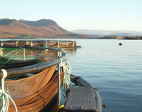 Scottish Aquaculture Website Launched