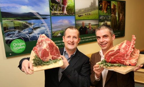 Dawn Meats Wins Irish Sustainability Award