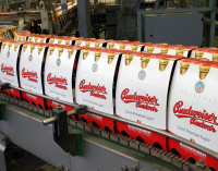 Budvar Claims Trademark Victory in Portugal