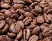 New Green Coffee Carbon Footprint Product Category Rule (CFP-PCR) Launched