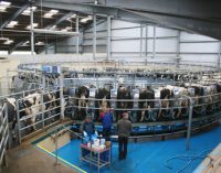 Meadow Foods to Increase Milk Price