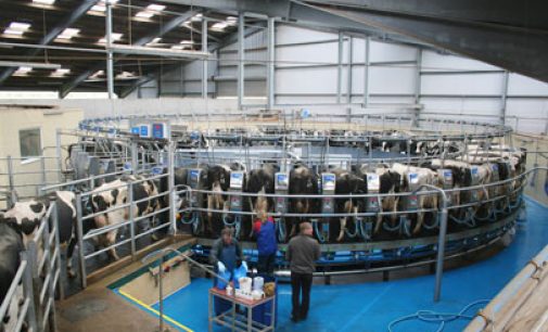 Meadow Foods to Increase Milk Price