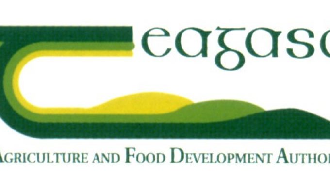 Teagasc Launches New Walsh Fellowships Model