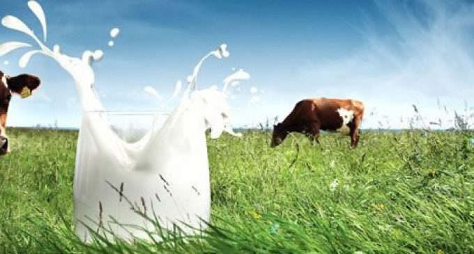Arla Expects to Serve 25 Billion Glasses of Milk in 2014