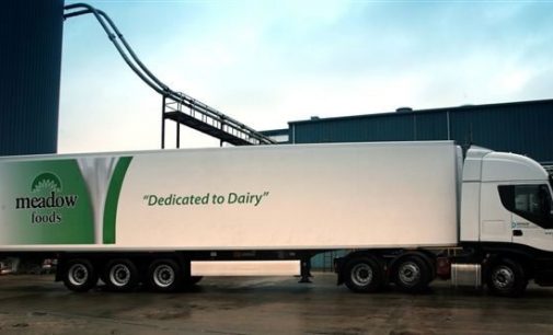 Dairy Ingredients Fuel Profit Growth at Meadow Foods