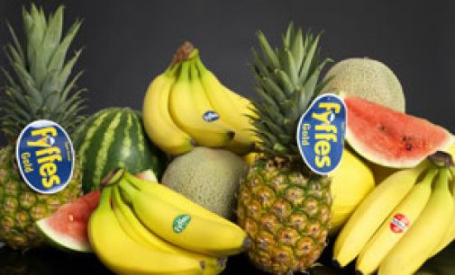 Chiquita and Fyffes to Merge