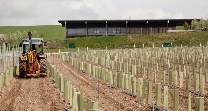 UK’s Largest Winery Opens