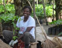 Mondelez International Reports Strong Progress in Cocoa Life Sustainability Program