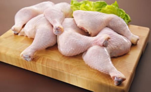 Can Poultry Combat the Campylobacter Threat?