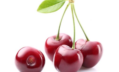 Sensient Flavors presents new line of natural cherry flavors