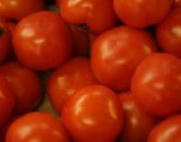 Ford and Heinz working together to develop waste tomato-based plastics