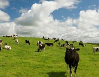 Impact of Teagasc Research Highlighted