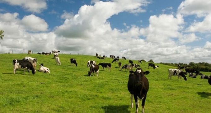 Impact of Teagasc Research Highlighted