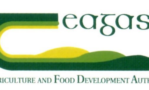 Teagasc Appoints New Head of Food Research