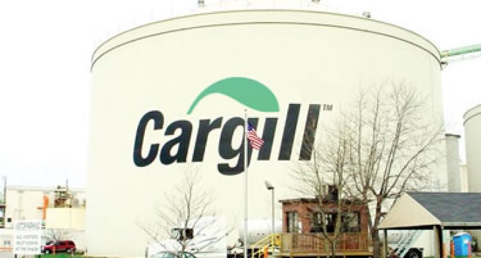Earnings and Revenue Fall at Cargill