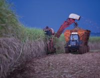 Alvean – A New Sugar Venture Emerges From Cargill and Copersucar