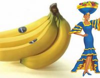 Chiquita Recieves Unsolicited Offer From Cutrale Group and Safra Group