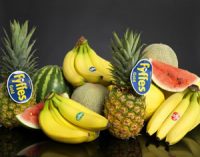 Fyffes Acquires Canada’s Largest Mushroom Business For €98 Million