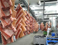 Vion Invests in Bavarian Meat Plants