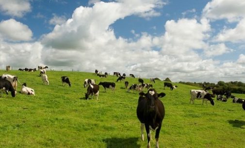 European Emergency Market Support Measures For Dairy Sector