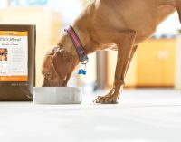 Nestlé Purina Introduces Personalised Dog Food Product in the US
